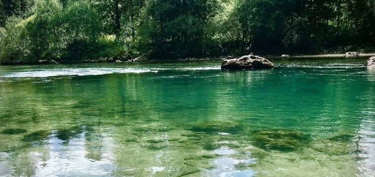 Športni dan za 2. razred: pohod po ribiški poti ob Savi