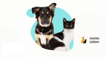 Zbiralna akcija za Zavetišče za zapuščene živali Ljubljana